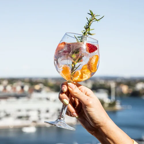 Accommodation 21 SYDRS-P0039-Zephyr-Bar-Gin-And-Tonic-View.16x9